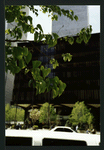 Block 063: Church Street between Vesey Street and Liberty Street (west side)