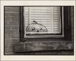 [Pumpkin decal on window]