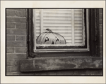 Pumpkin decal on window
