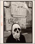 The Skull