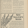 Ancona world