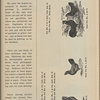 Ancona engravings for breeders' use