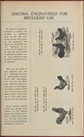 Ancona engravings for breeders' use
