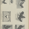 Ancona engravings for breeders' use