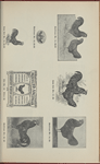 Ancona engravings for breeders' use