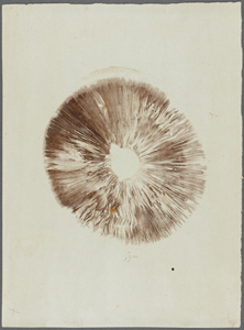 Recherche sur les champignons agarics, 1er [première] essai