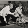 Director Noel Coward, Tammy Grimes, and Beatrice Lillie in rehearsal for the stage production High Spirits