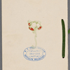 The Lincoln Club