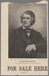 Charles Sumner. From Recollections by A.B. Johnson