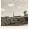 Number Two Hundred Thirty One, AJP