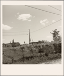 Number Two Hundred Thirty One, AJP