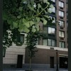 Block 080: Third Place between Little West Street and Hudson River Esplanade (south side)