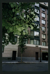 Block 080: Third Place between Little West Street and Hudson River Esplanade (south side)