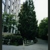 Block 080: Third Place between Little West Street and Hudson River Esplanade (south side)