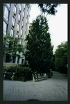 Block 080: Third Place between Little West Street and Hudson River Esplanade (south side)