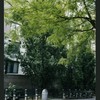Block 080: Hudson River Esplanade between Third Place and Second Place (east side)
