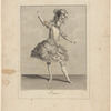 Faune