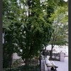 Block 080: Hudson River Esplanade between Third Place and Second Place (east side)