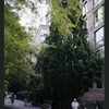 Block 080: Second Place between Hudson River Esplanade and Little West Street (north side)
