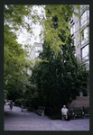 Block 080: Second Place between Hudson River Esplanade and Little West Street (north side)