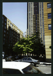 Block 081: Third Place between Little West Street and Battery Place (north side)