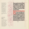 Musician, monkey, two pheasants