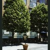 Block 083: The Esplanade at Third Place between the Hudson River Esplanade and South End Avenue (north side)