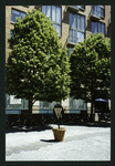 Block 083: The Esplanade at Third Place between the Hudson River Esplanade and South End Avenue (north side)