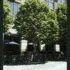 Block 083: The Esplanade at Third Place between the Hudson River Esplanade and South End Avenue (north side)