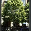 Block 083: The Esplanade at Third Place between the Hudson River Esplanade and South End Avenue (north side)