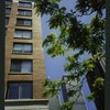 Block 083: The Esplanade at Third Place between the Hudson River Esplanade and South End Avenue (north side)