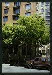 Block 084: West Thames Street between South End Avenue and the Hudson River Esplanade (north side)