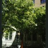 Block 084: West Thames Street between South End Avenue and the Hudson River Esplanade (north side)