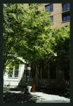 Block 084: West Thames Street between South End Avenue and the Hudson River Esplanade (north side)