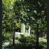 Block 084: Hudson River Esplanade between West Thames Street and Rector Place (east side)