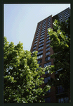 Block 084: Hudson River Esplanade between West Thames Street and Rector Place (east side)