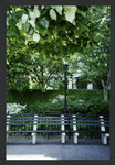 Block 084: Hudson River Esplanade between West Thames Street and Rector Place (east side)