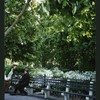 Block 084: Hudson River Esplanade between West Thames Street and Rector Place (east side)