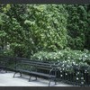 Block 084: Rector Place between the Hudson River Esplanade and South End Avenue (south side)