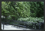 Block 084: Rector Place between the Hudson River Esplanade and South End Avenue (south side)