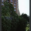 Block 084: Rector Place between the Hudson River Esplanade and South End Avenue (south side)