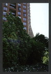 Block 084: Rector Place between the Hudson River Esplanade and South End Avenue (south side)