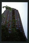 Block 084: Rector Place between the Hudson River Esplanade and South End Avenue (south side)