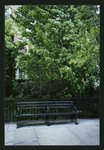 Block 084: Rector Place between the Hudson River Esplanade and South End Avenue (south side)