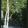 Block 084: Rector Place between the Hudson River Esplanade and South End Avenue (south side)