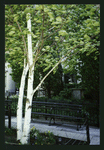 Block 084: Rector Place between the Hudson River Esplanade and South End Avenue (south side)