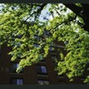Block 084: Rector Place between the Hudson River Esplanade and South End Avenue (south side)