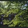 Block 084: Rector Place between the Hudson River Esplanade and South End Avenue (south side)