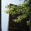 Block 084: Rector Place between the Hudson River Esplanade and South End Avenue (south side)