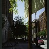 Block 085: Rector Place between South End Avenue and West Street (south side)
